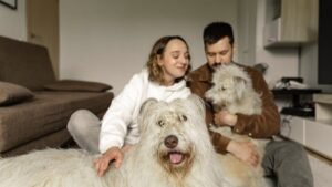 9 Everyday Habits That Can Improve Your Dog's Overall Well-being