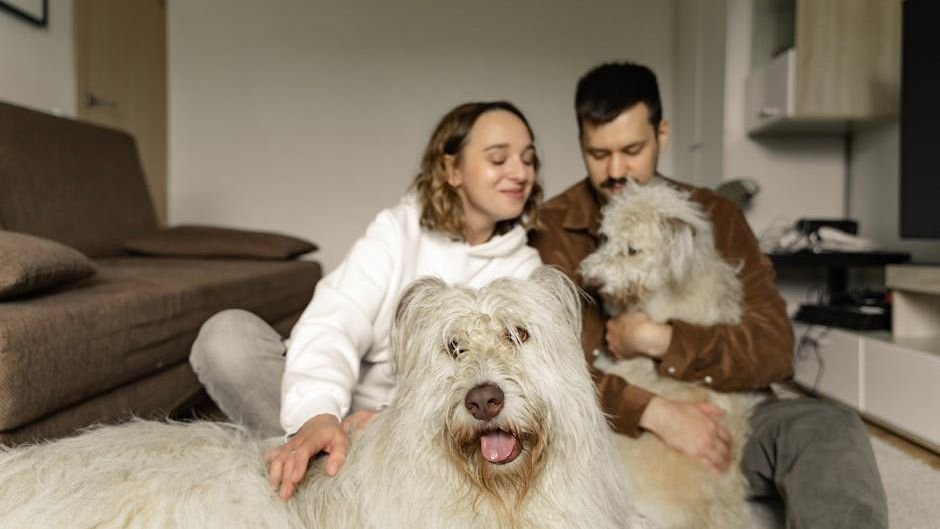 9 Everyday Habits That Can Improve Your Dog's Overall Well-being