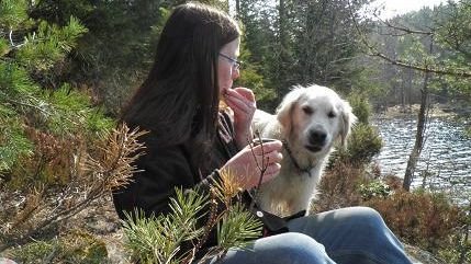 10 Dog Breeds That Are Known for Their Calm Demeanor (and Cuddles!)