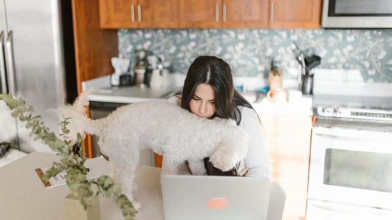 Your Dog's Favorite Spots Reveal How Secure They Feel in Your Home