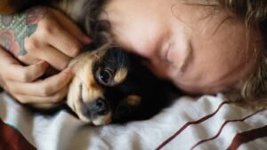 10 Small Dog Breeds That Don’t Usually Like Being Left Alone