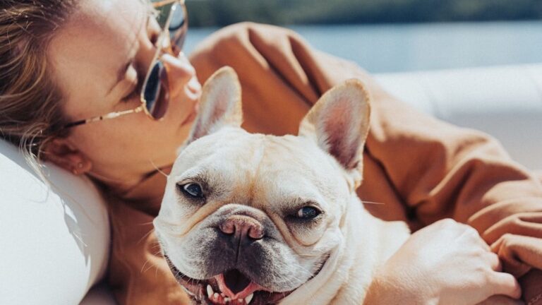 The Zodiac Signs That Would Bond Best With a French Bulldog