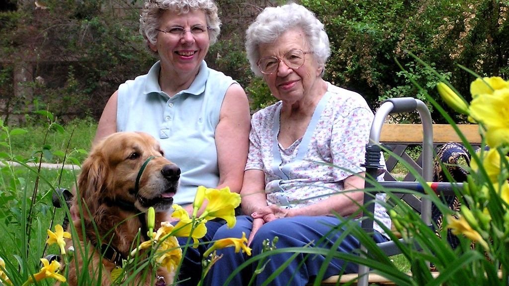 10 Golden Retriever Behaviors That Say "Everyone Is My Best Friend"