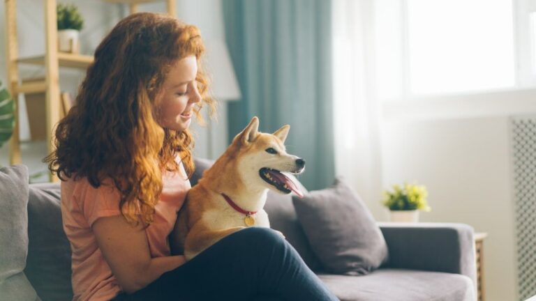 Are We Misinterpreting Our Dog's 'Stubbornness'? It Might Be Something Else