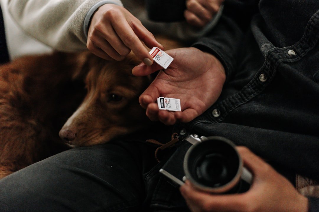 First Aid Tips Every Pet Parent Should Know