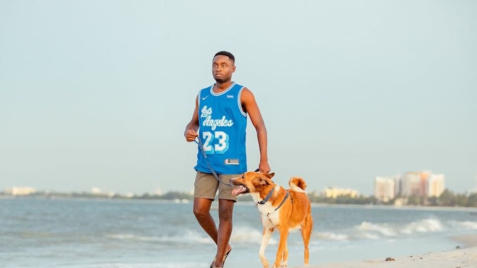 How to Keep Your Dog Cool in Florida's Heat