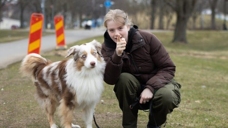 10 Dog Breeds That Are Exceptionally Good at Learning New Tricks (Even as Seniors)