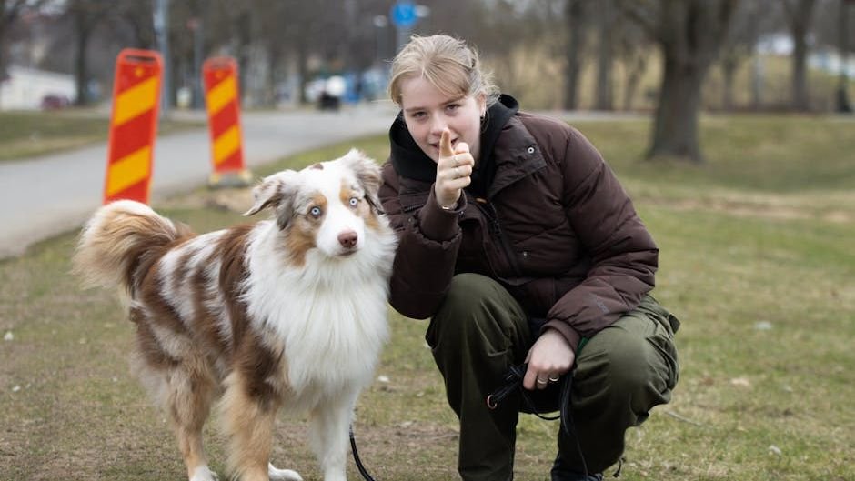 10 Dog Breeds That Are Exceptionally Good at Learning New Tricks (Even as Seniors)