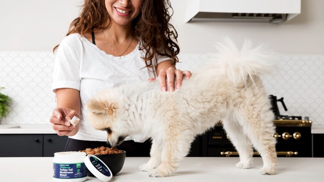 Can Dogs Eat Greek Yoghurt?