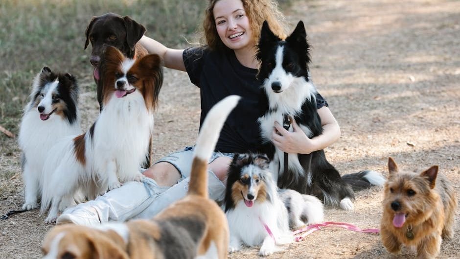 Why You Should Always Use an Insured Dog Sitter