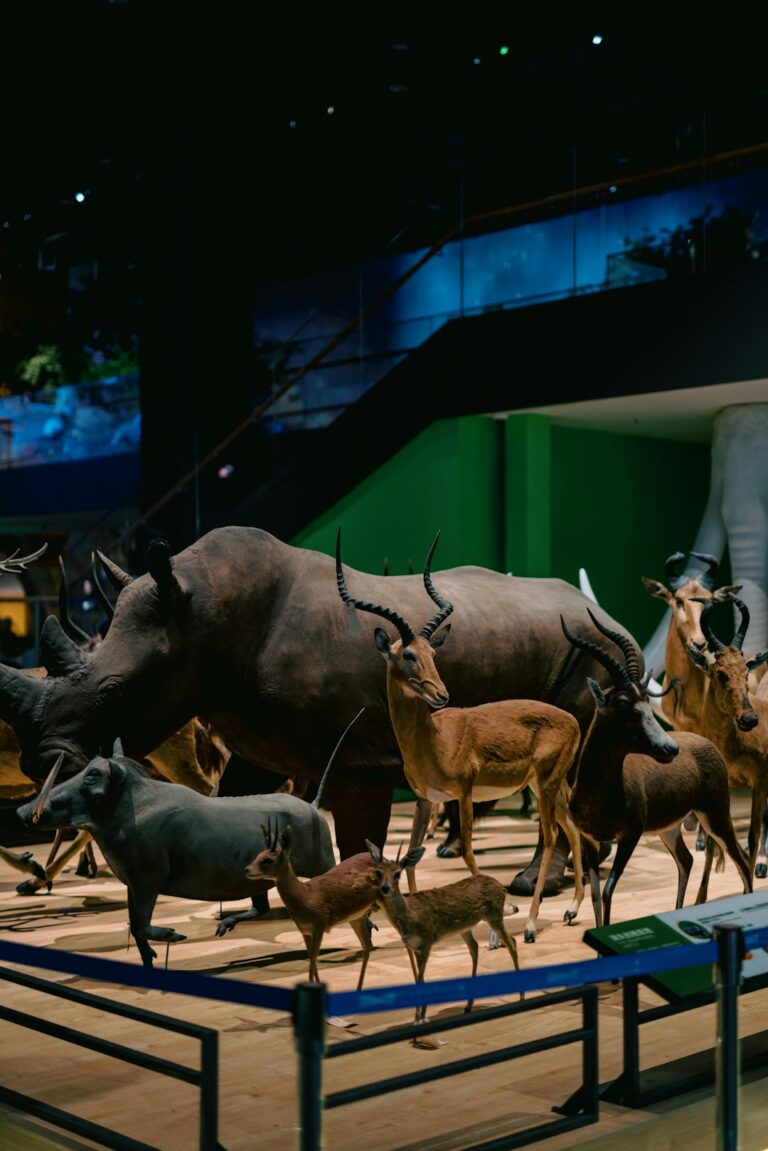 How bad for humans is wildlife trade? A new study has answers