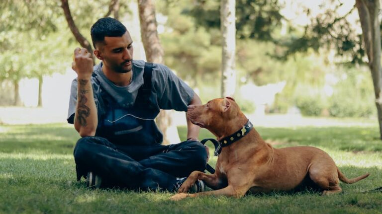10 Pit Bull Behaviors That Say "My Loyalty Is Unbreakable"