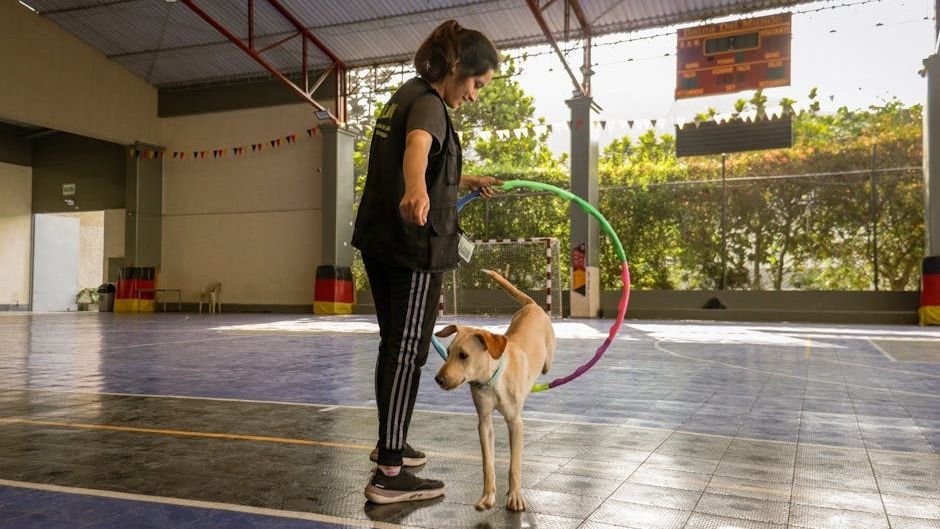 9 Clever Ways to Keep Your Dog Entertained Indoors on a Rainy Day