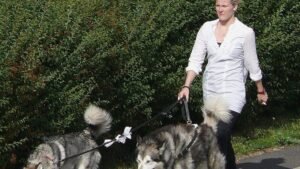 12 Ways Dogs Help Humans Cope With Loneliness