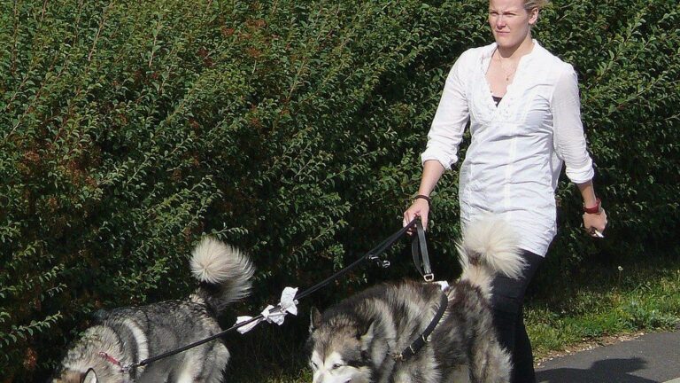 12 Ways Dogs Help Humans Cope With Loneliness