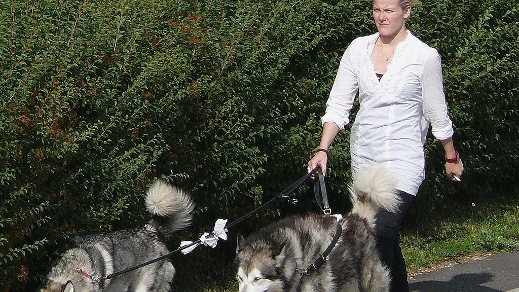 12 Ways Dogs Help Humans Cope With Loneliness