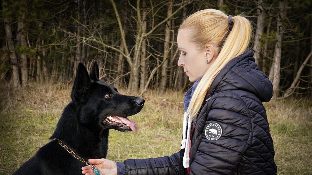 10 Dog Breeds That Can Scare Off Black Bears in Pennsylvania