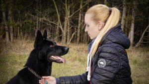 10 Dog Breeds That Can Scare Off Black Bears in Pennsylvania