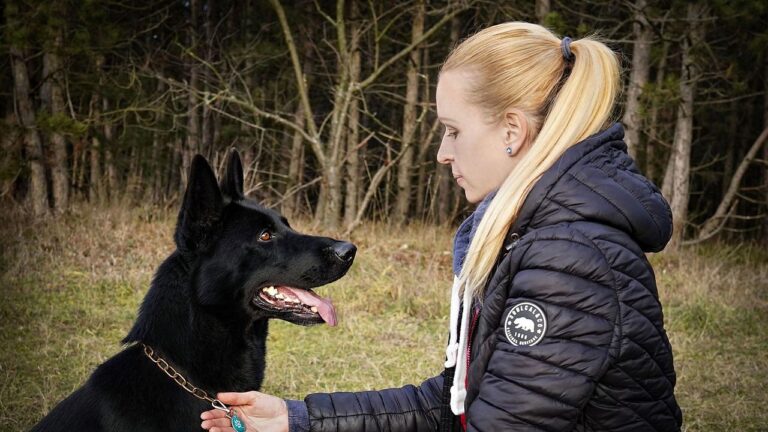 10 Dog Breeds That Can Scare Off Black Bears in Pennsylvania