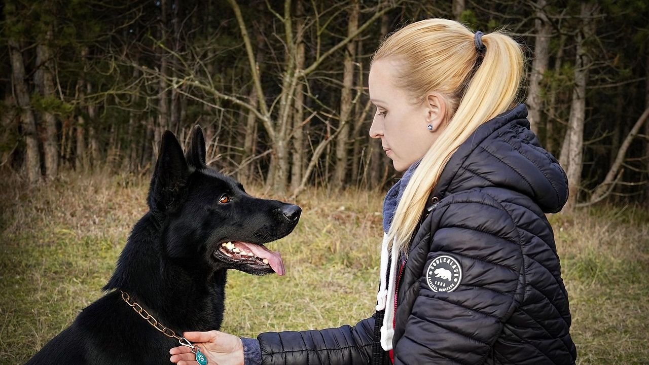 10 Dog Breeds That Can Scare Off Black Bears in Pennsylvania