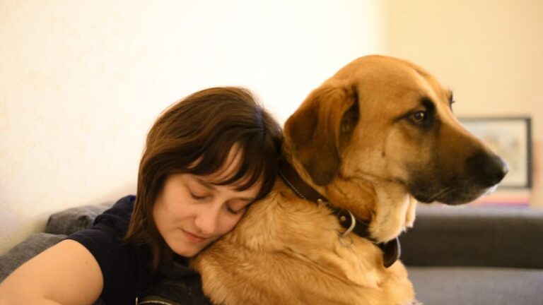 10 Large Dog Breeds That Make Better Cuddly Companions Than Lap Dogs