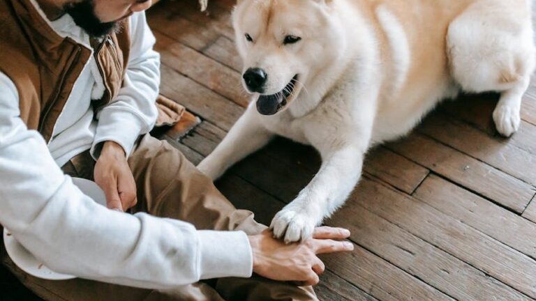 12 Things That Confuse Your Dog More Than You Realize