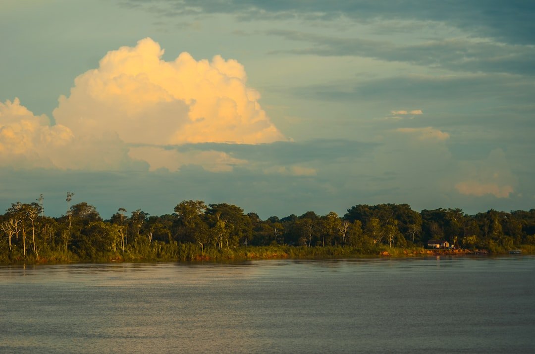 Heal our planet: How we're protecting the Amazon
