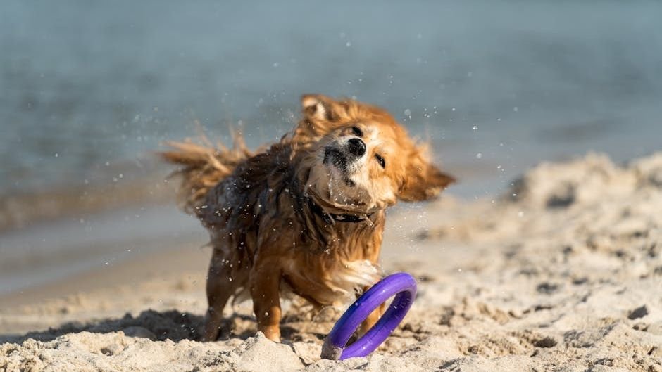 11 Unexpected Ways Dogs Show Their Mood