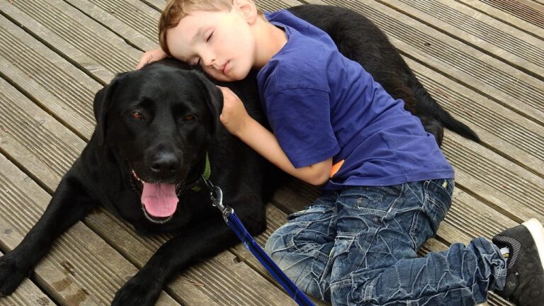 The Emotional Reason Dogs Sleep Near Their Humans