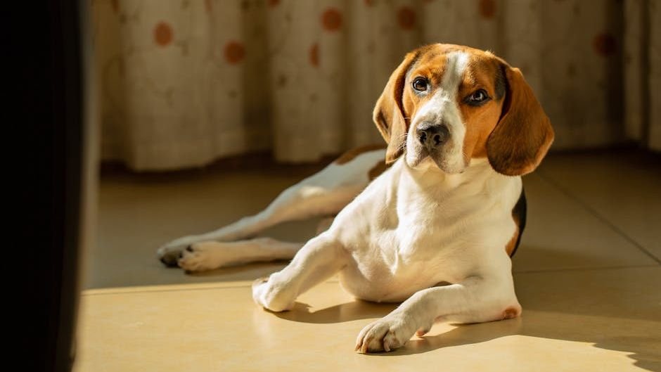 These Are the Top 10 Most Popular Dog Breeds in Minnesota