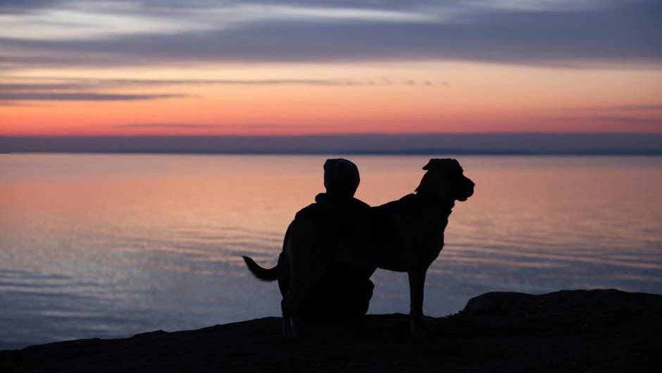 15 Gentle Ways to Say Goodbye Every Dog Owner Wishes They'd Known