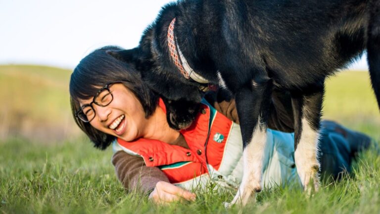 17 Things Your Old Dog Still Remembers About You - Even on the Hardest Days
