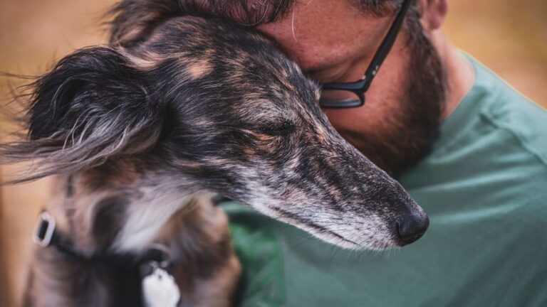 14 Things Dogs Try to Tell You Before They Go