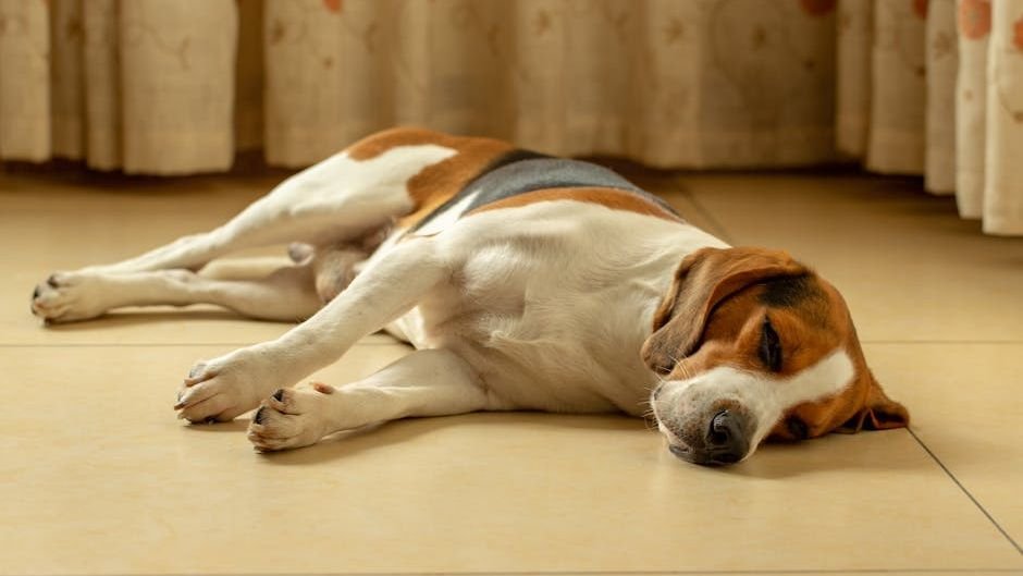 Your Dog's Dream World: What Those Wiggles and Whimpers Really Mean