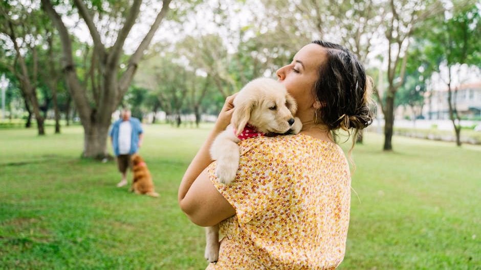 First-Time Dog Owners: These 7 Breeds Are Your Easiest Path to Canine Companionship