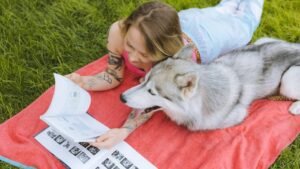 7 Simple Games That Will Keep Your Dog Mentally Sharp and Happy