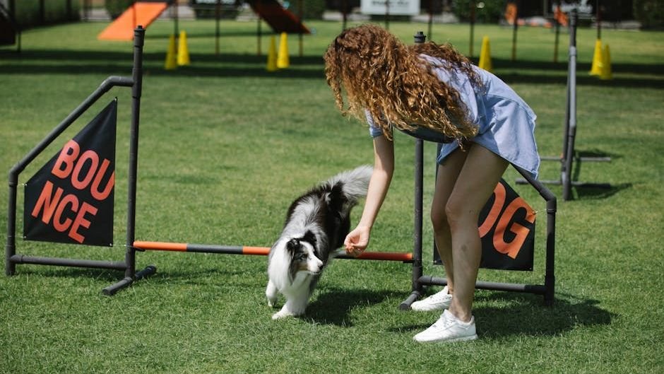 8 Smart Ways to Keep Your Dog Active and Engaged When You Can't Go Outside