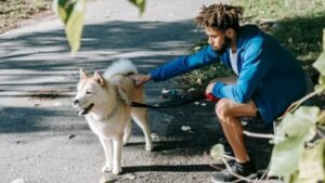 Your Dog's Unconditional Love Is a Constant Reminder of What Truly Matters