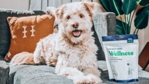 9 Raw Food Additives For 5x Stronger Joints