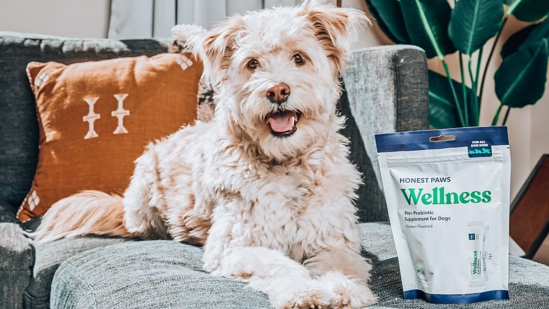 9 Raw Food Additives For 5x Stronger Joints