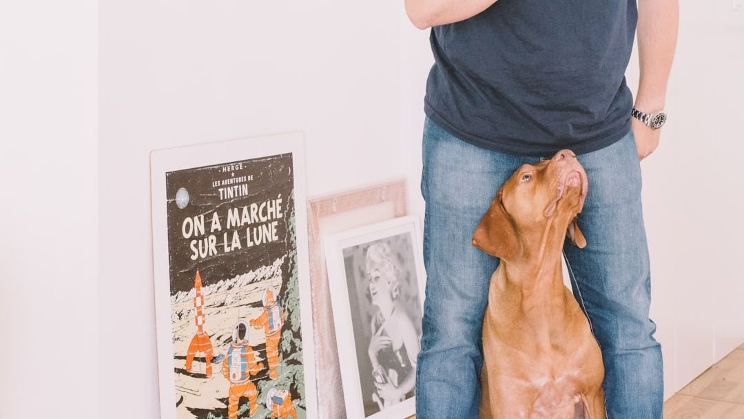 12 Surprising Ways Your Dog Shows They Trust You Completely