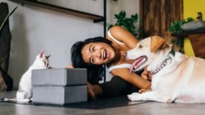 10 Clever Hacks to Keep Your Older Dog Happy and Comfortable at Home