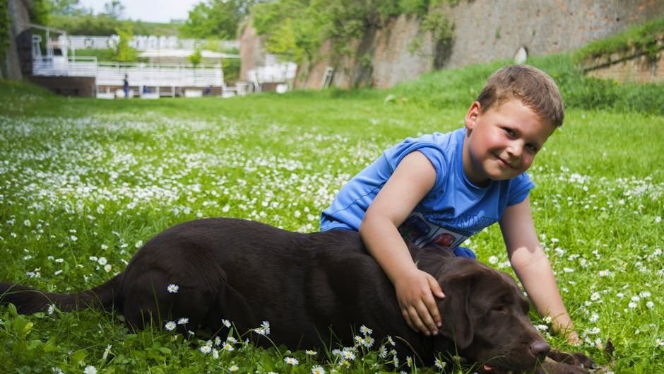 7 Dog Breeds That Are Unbelievably Patient with Grandchildren