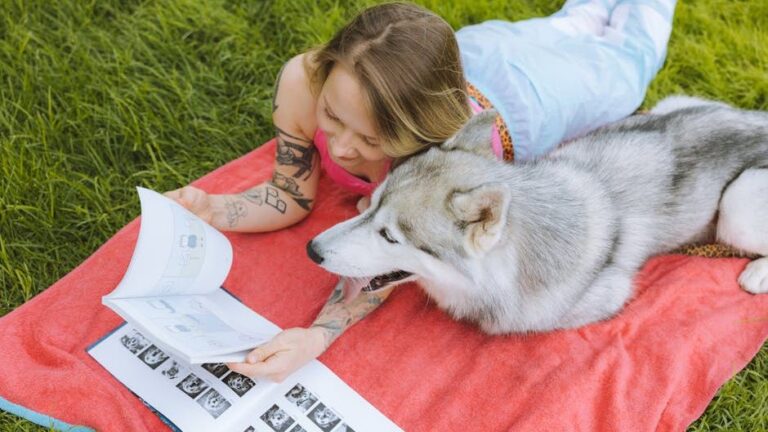 Could Your Dog Be Happier with a Different Daily Routine?