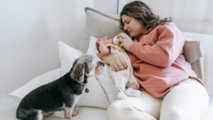 10 Clever Ways to Introduce Your Dog to a New Baby Safely and Smoothly
