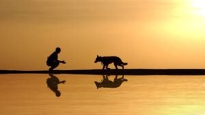 10 Ways Dogs Mirror Their Owners' Hearts