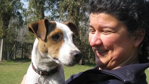 8 Signs Your Dog is Affected by Summer Heat