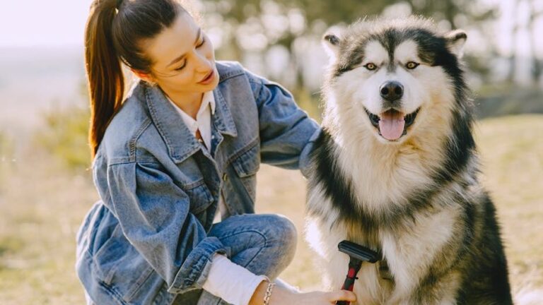 Can a Husky Thrive in Alabama's Hot Climate?