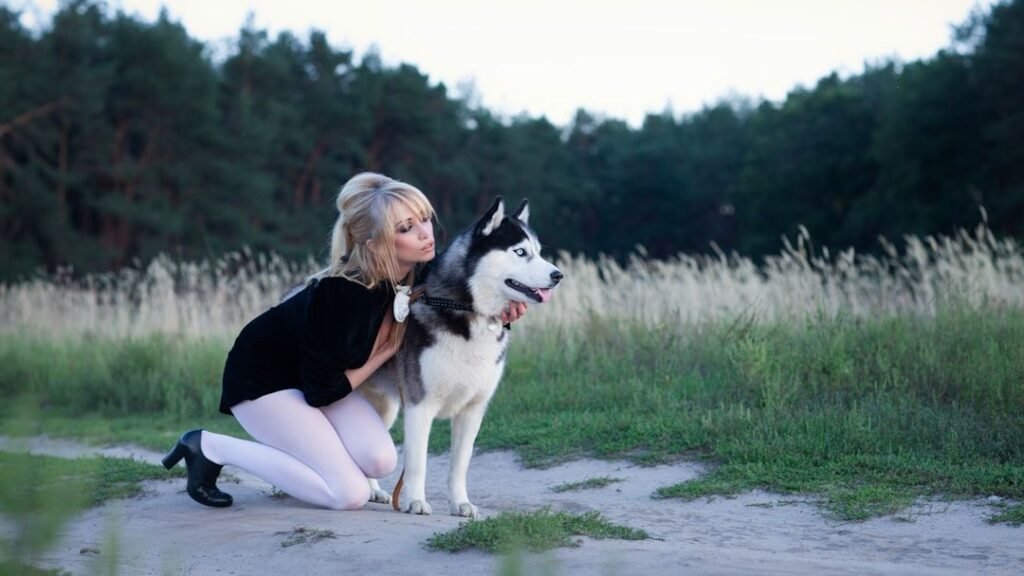 7 Best Places To Own a Husky in USA