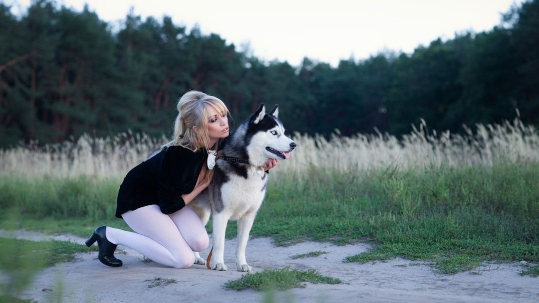 7 Best Places To Own a Husky in USA